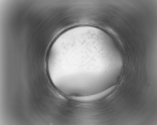 X0000063521280200602101942