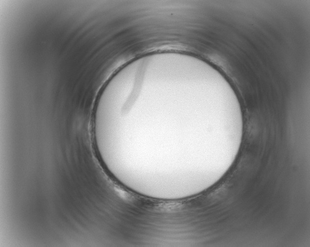 X0000063521282200602101942