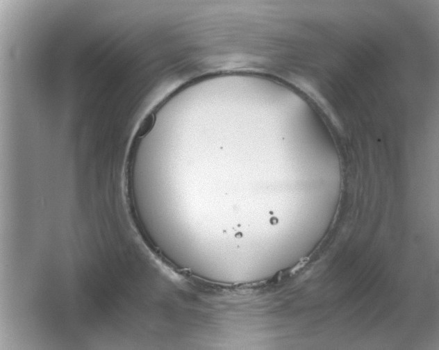 X0000063521285200602101942