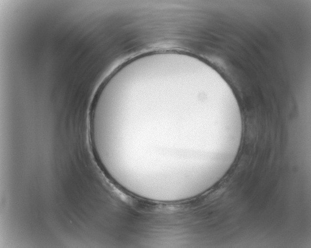 X0000063521286200602101942