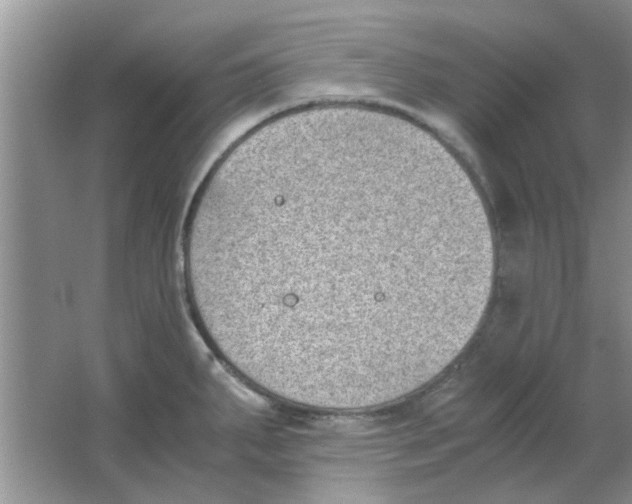 X0000063521287200602101942