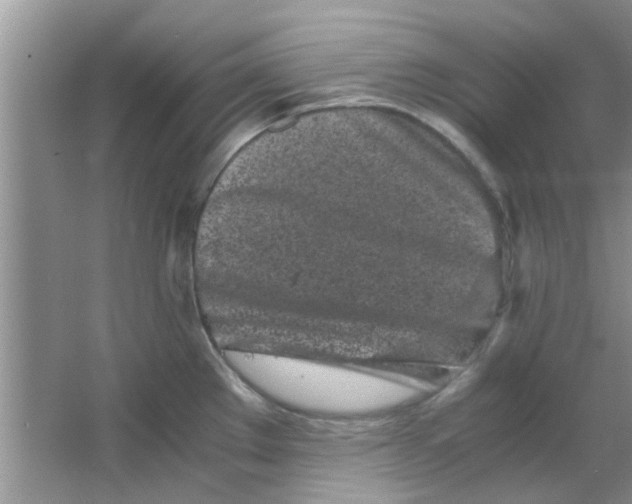 X0000063521289200602101942