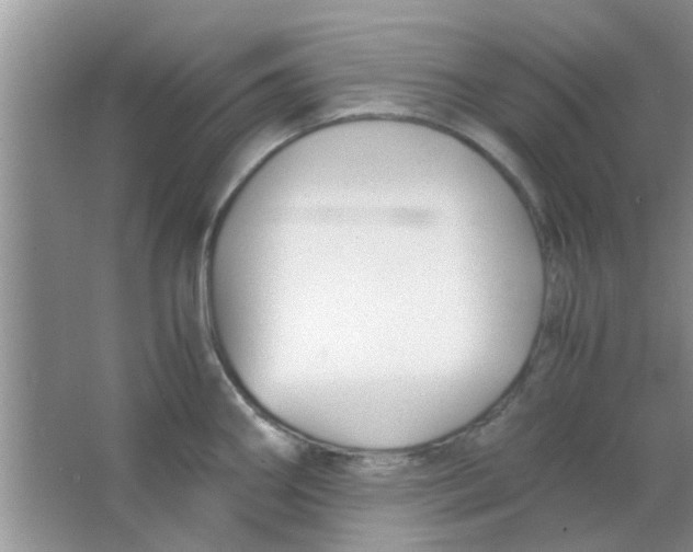 X0000063521290200602101942