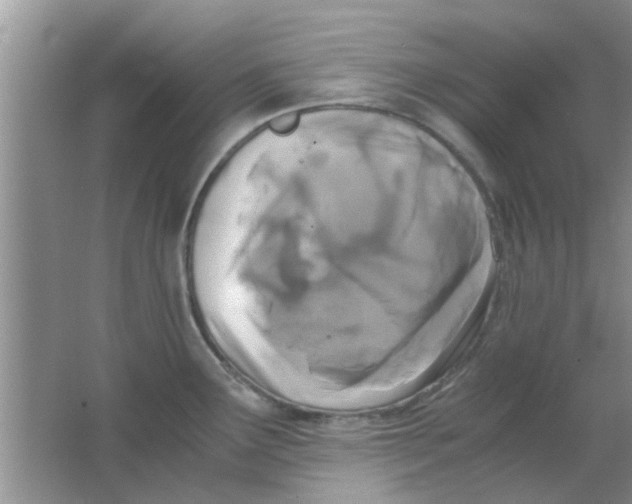 X0000063521291200602101942