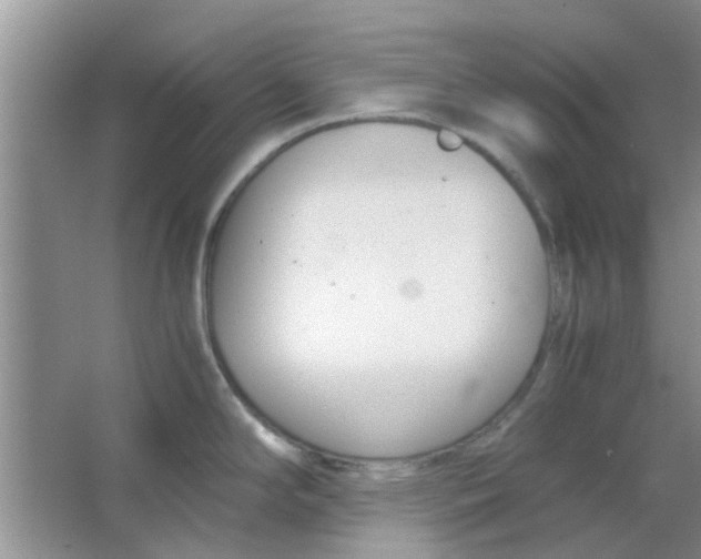 X0000063521294200602101942