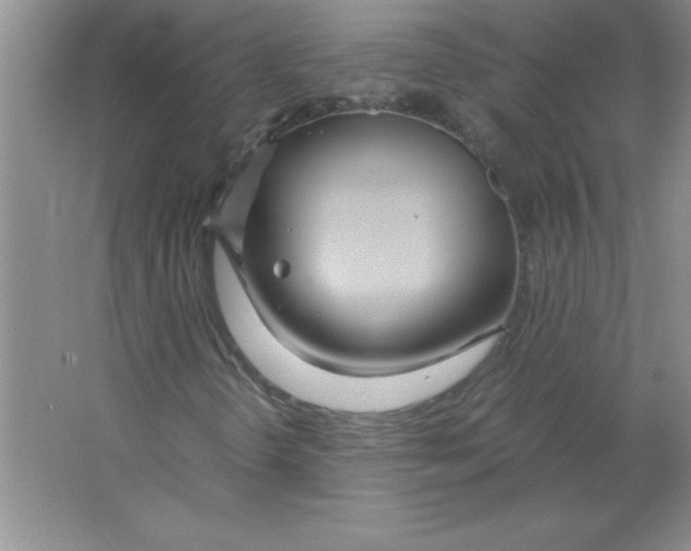 X0000063521298200602101941