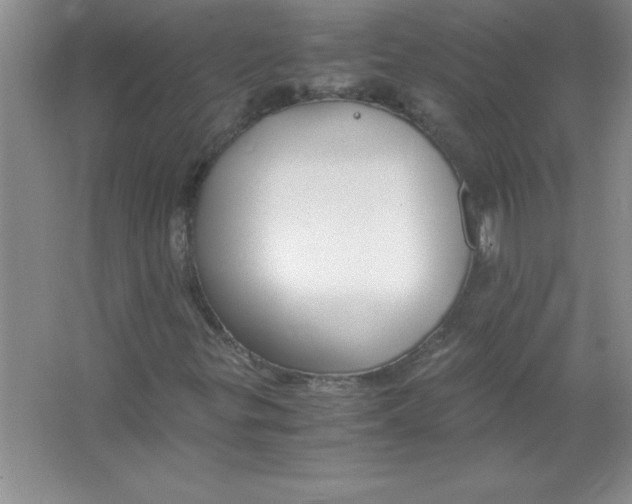 X0000063521299200602101941