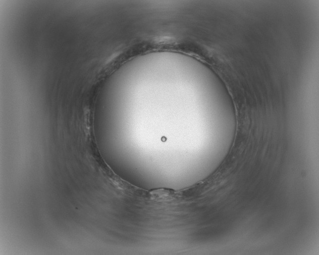 X0000063521301200602101941