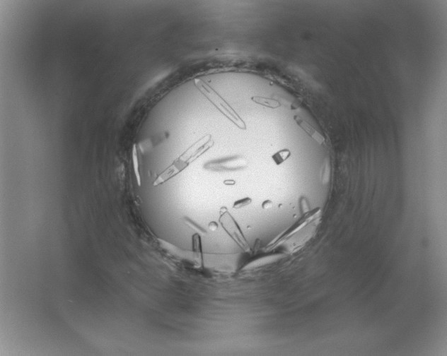 X0000063521302200602101941