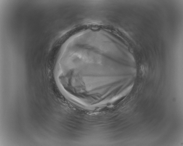 X0000063521303200602101941