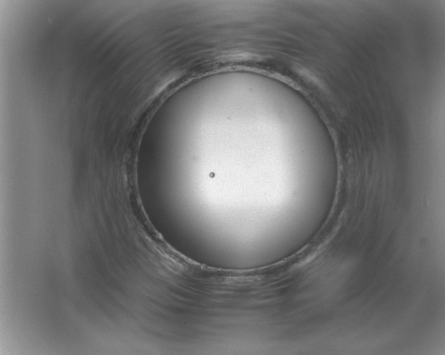 X0000063521305200602101941