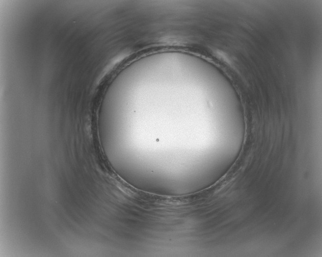 X0000063521307200602101941