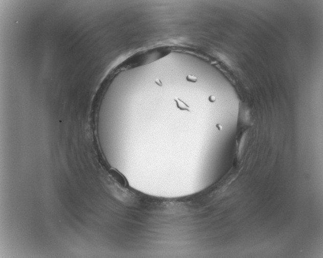 X0000063521308200602101941