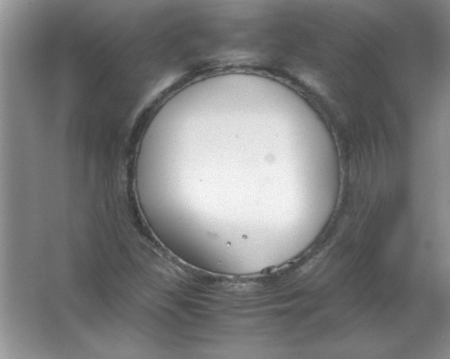 X0000063521309200602101941