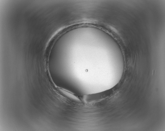 X0000063521310200602101941