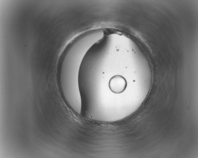 X0000063521312200602101941