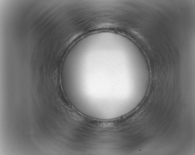 X0000063521313200602101941