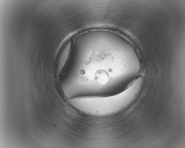 X0000063521314200602101941