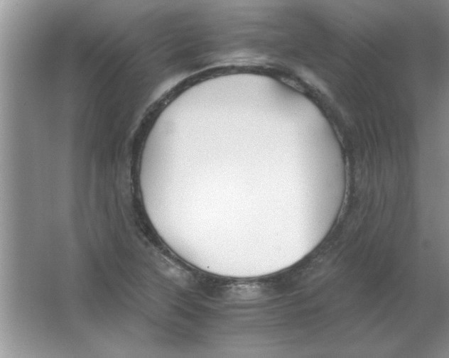 X0000063521315200602101941