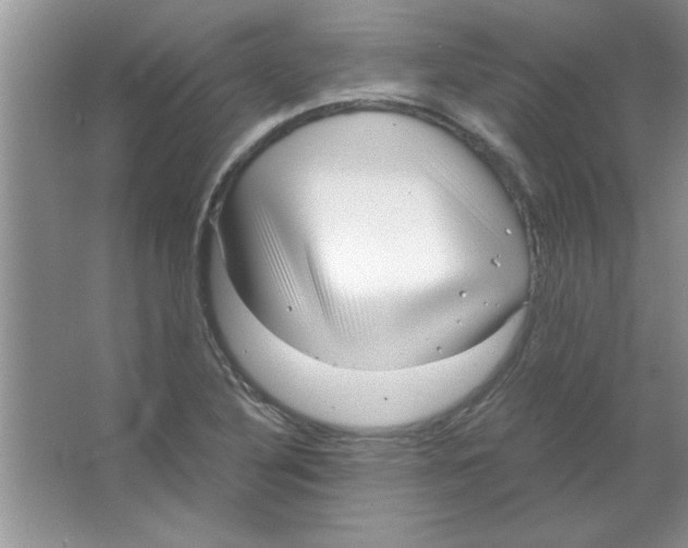 X0000063521316200602101941