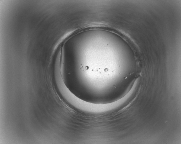 X0000063521317200602101941