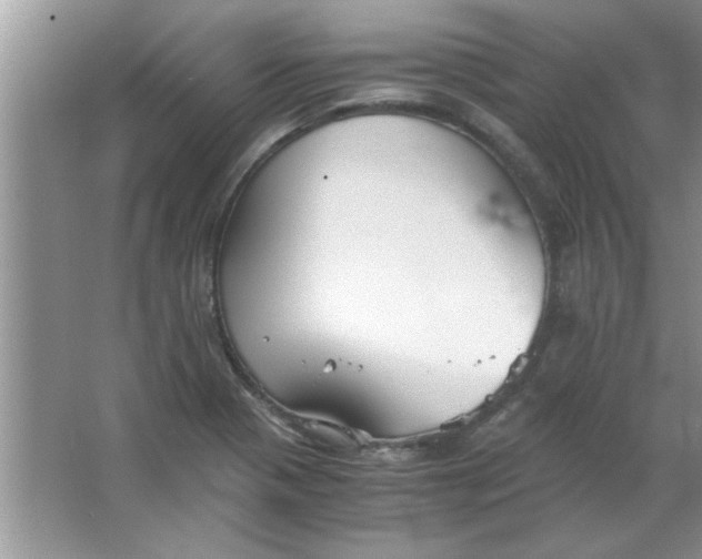 X0000063521321200602101941