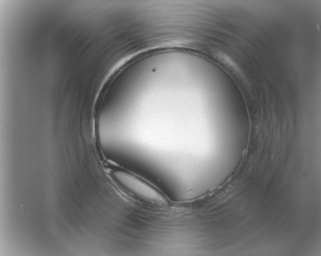 X0000063521324200602101941