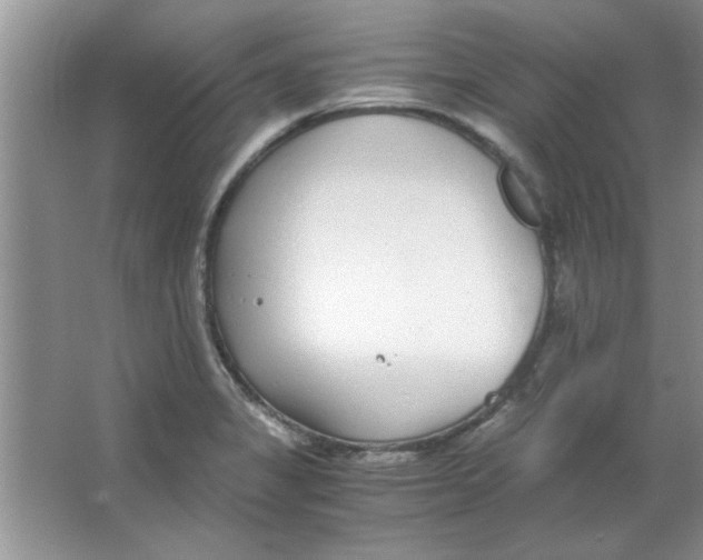 X0000063521325200602101941