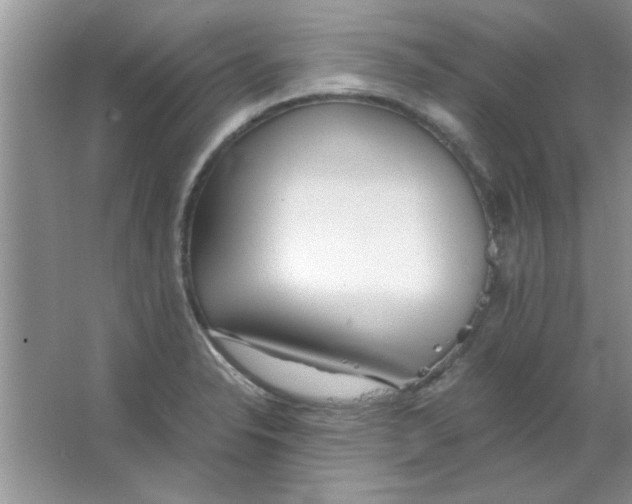 X0000063521326200602101941