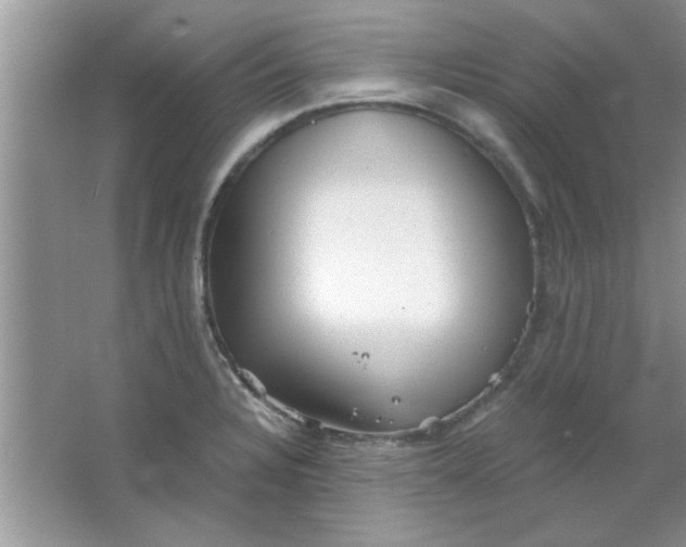 X0000063521328200602101941