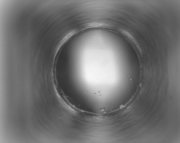 X0000063521330200602101941