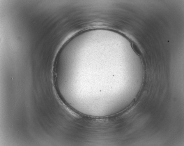 X0000063521333200602101941