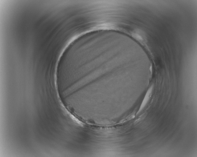 X0000063521334200602101941