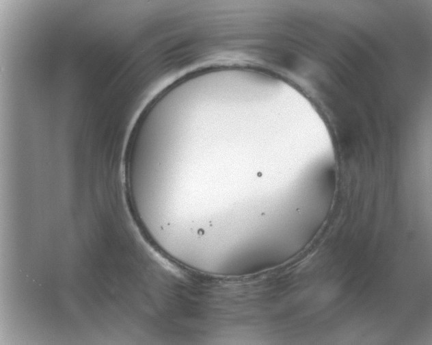 X0000063521335200602101941