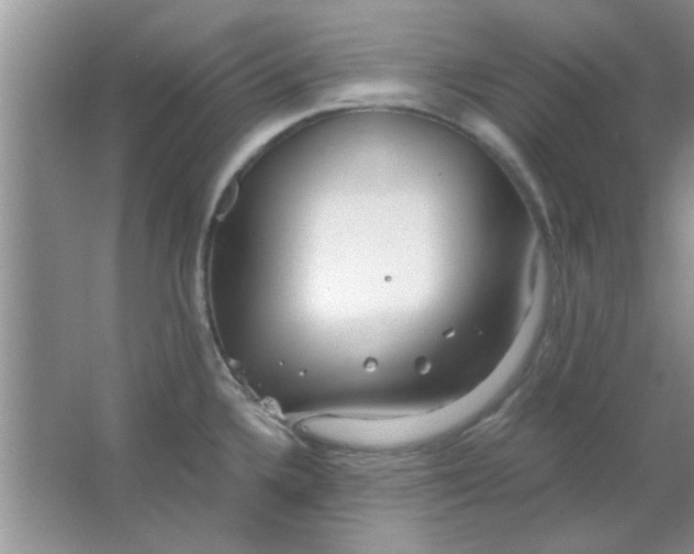 X0000063521336200602101941