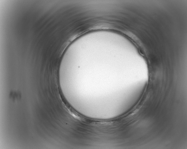 X0000063521337200602101941