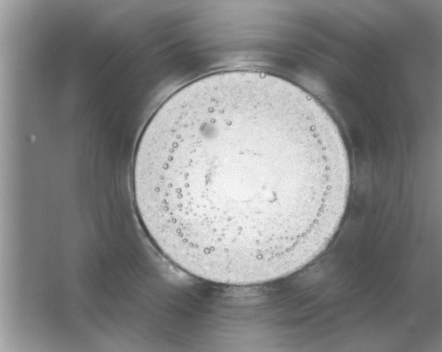 X0000063521338200602101941