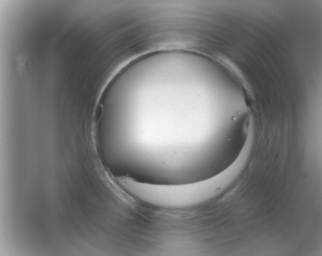 X0000063521340200602101941