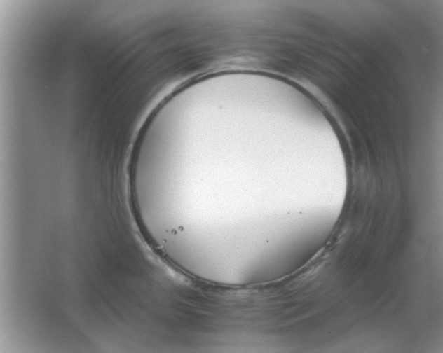 X0000063521341200602101941