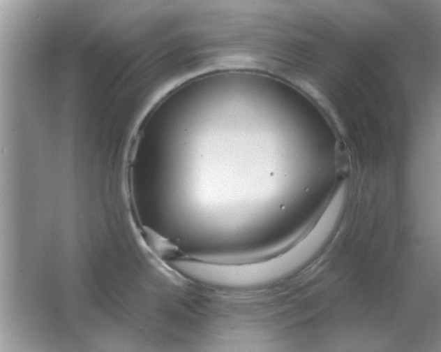 X0000063521342200602101941