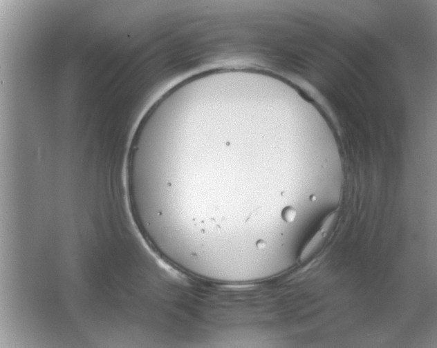 X0000063521343200602101941