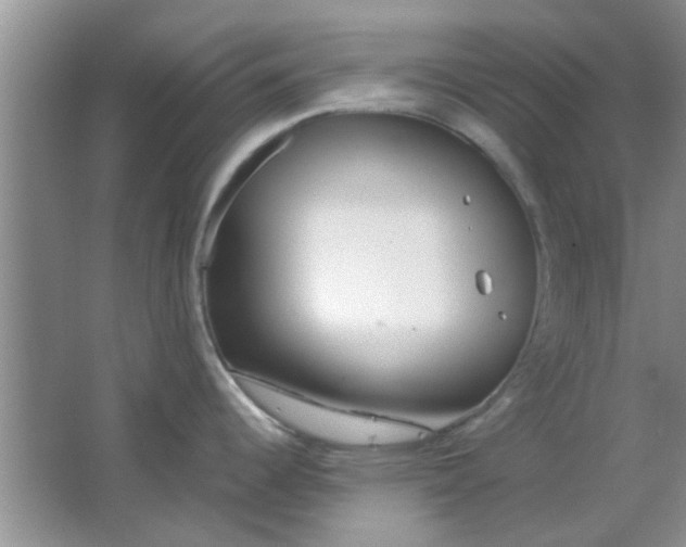 X0000063521344200602101942