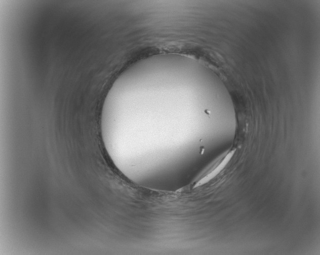 X0000063521345200602101941