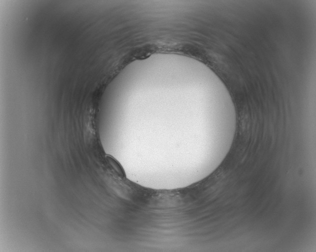 X0000063521346200602101941