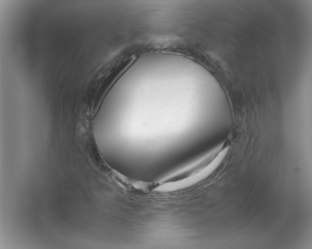 X0000063521349200602101941