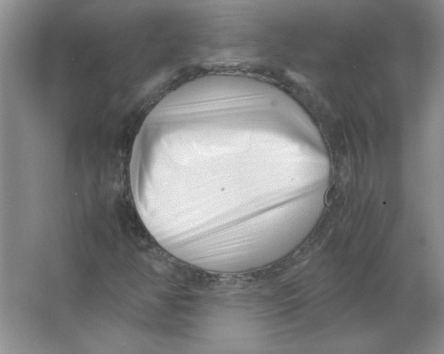 X0000063521350200602101941