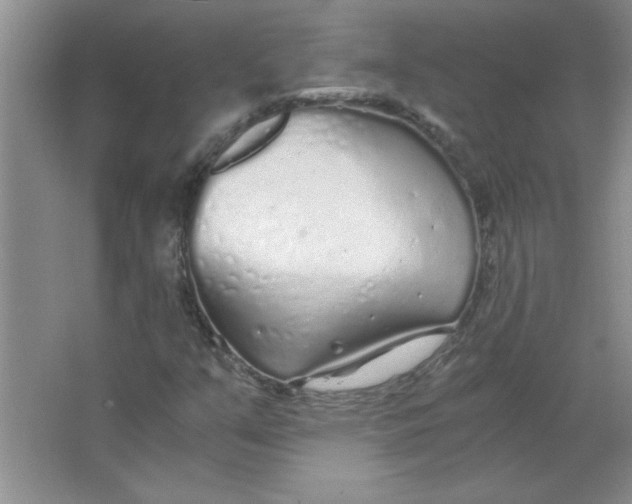 X0000063521351200602101941