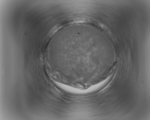 X0000063521353200602101941