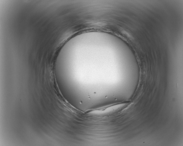 X0000063521354200602101941