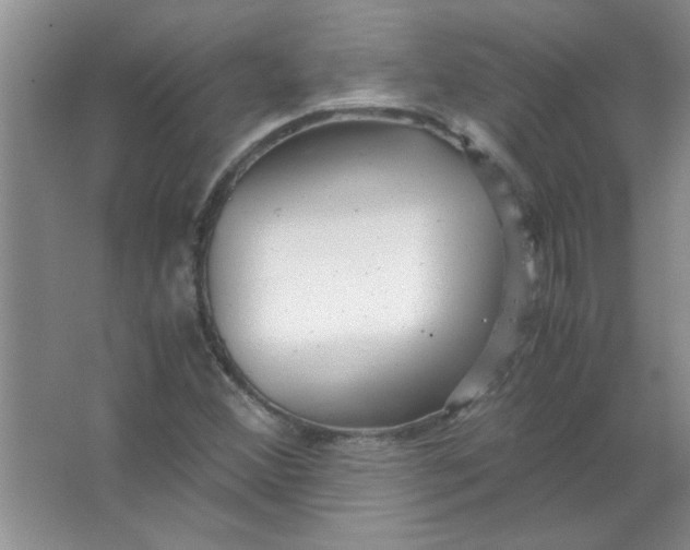 X0000063521356200602101941